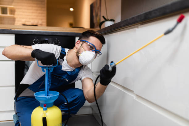 Best Pest Control for Homes  in Carrizo Hill, TX