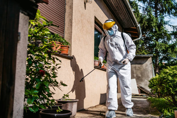 Best Residential Pest Control  in Carrizo Hill, TX