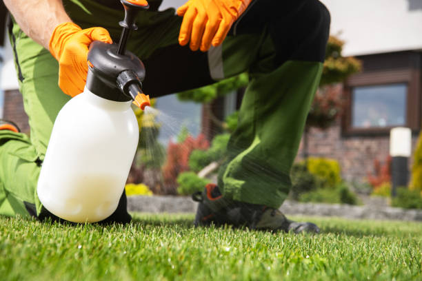Best Termite Control Services  in Carrizo Hill, TX