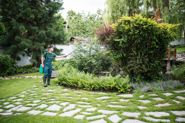 Pest Control Cost in Carrizo Hill, TX