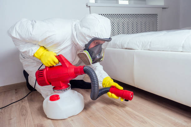 Best Affordable Pest Control Services  in Carrizo Hill, TX