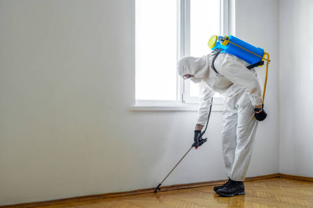 Best Pest Prevention Services  in Carrizo Hill, TX