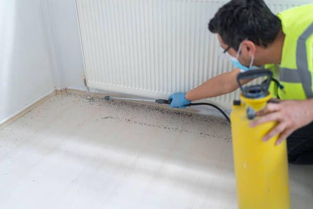 Pest Prevention Services in Carrizo Hill, TX